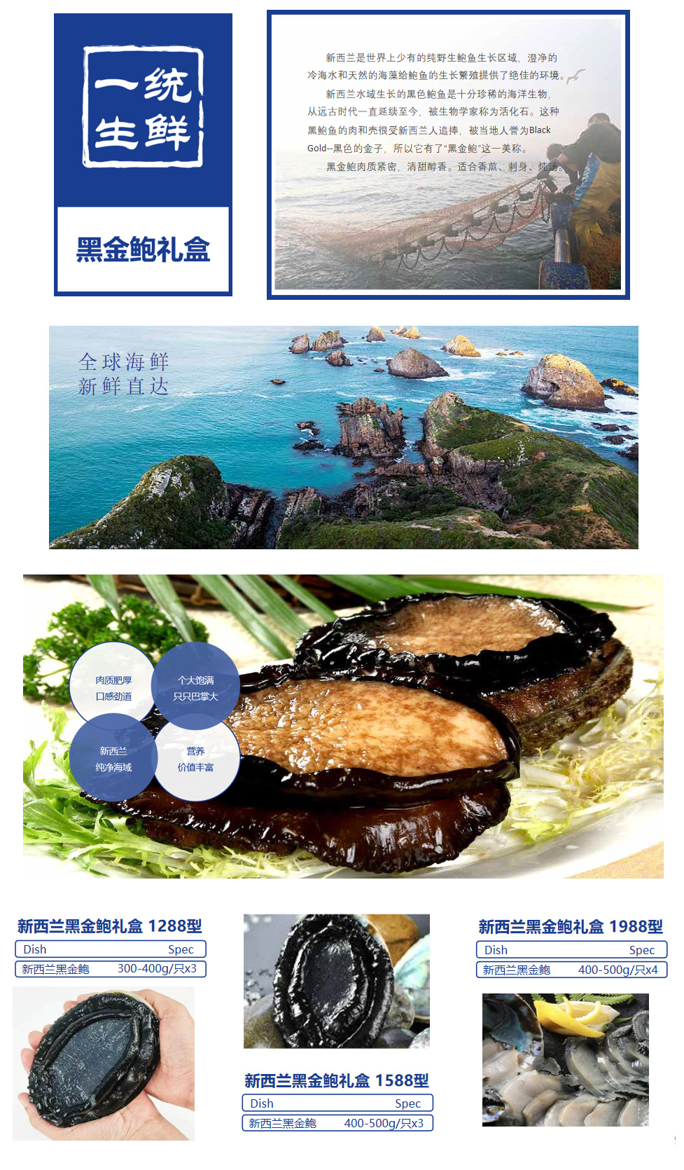 新西兰黑金鲍礼盒